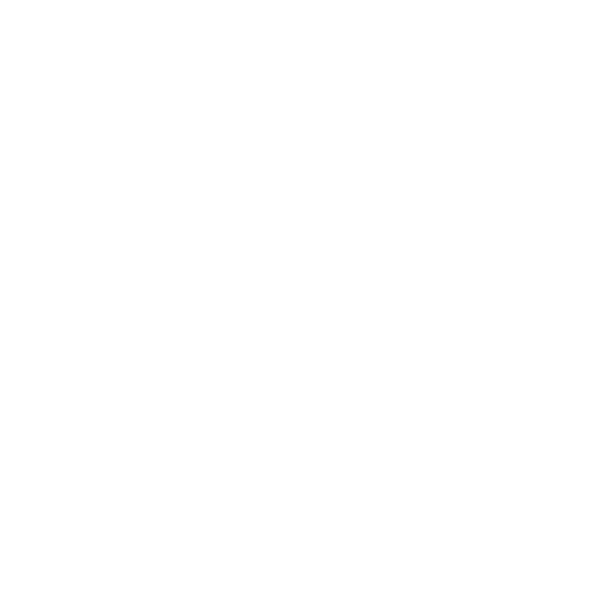 H2H_retail B2C_Zadig&Voltaire copy